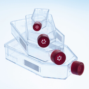 德国 Greiner 细胞培养瓶 红色标准盖 690160